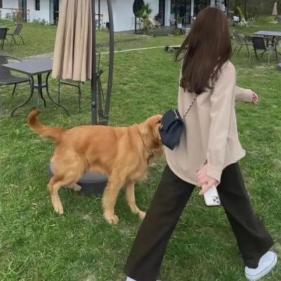 茜茜公主3